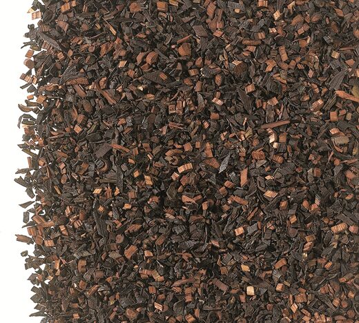 Honeybush miodokrzew