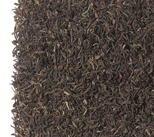 Himalaya Blend Darjeeling