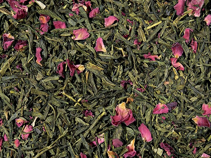 SENCHA SAKURA